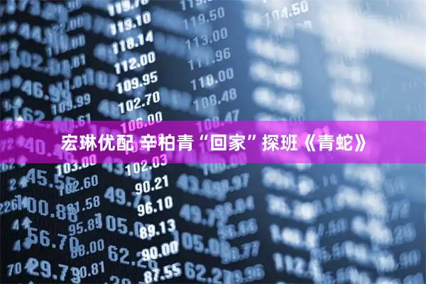 宏琳优配 辛柏青“回家”探班《青蛇》