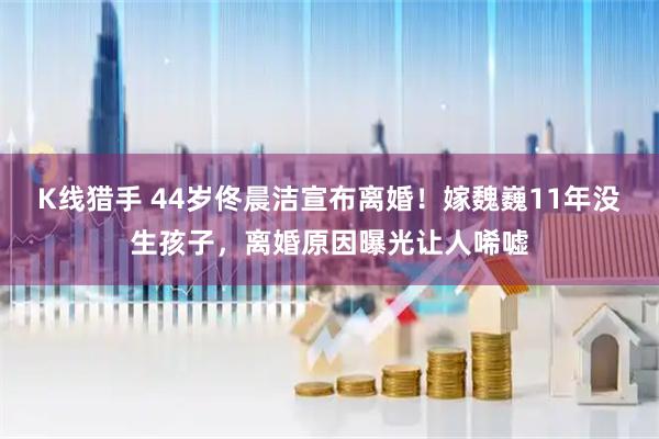 K线猎手 44岁佟晨洁宣布离婚！嫁魏巍11年没生孩子，离婚原因曝光让人唏嘘
