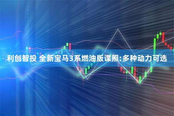 利创智投 全新宝马3系燃油版谍照:多种动力可选