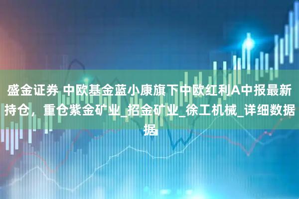 盛金证券 中欧基金蓝小康旗下中欧红利A中报最新持仓，重仓紫金矿业_招金矿业_徐工机械_详细数据